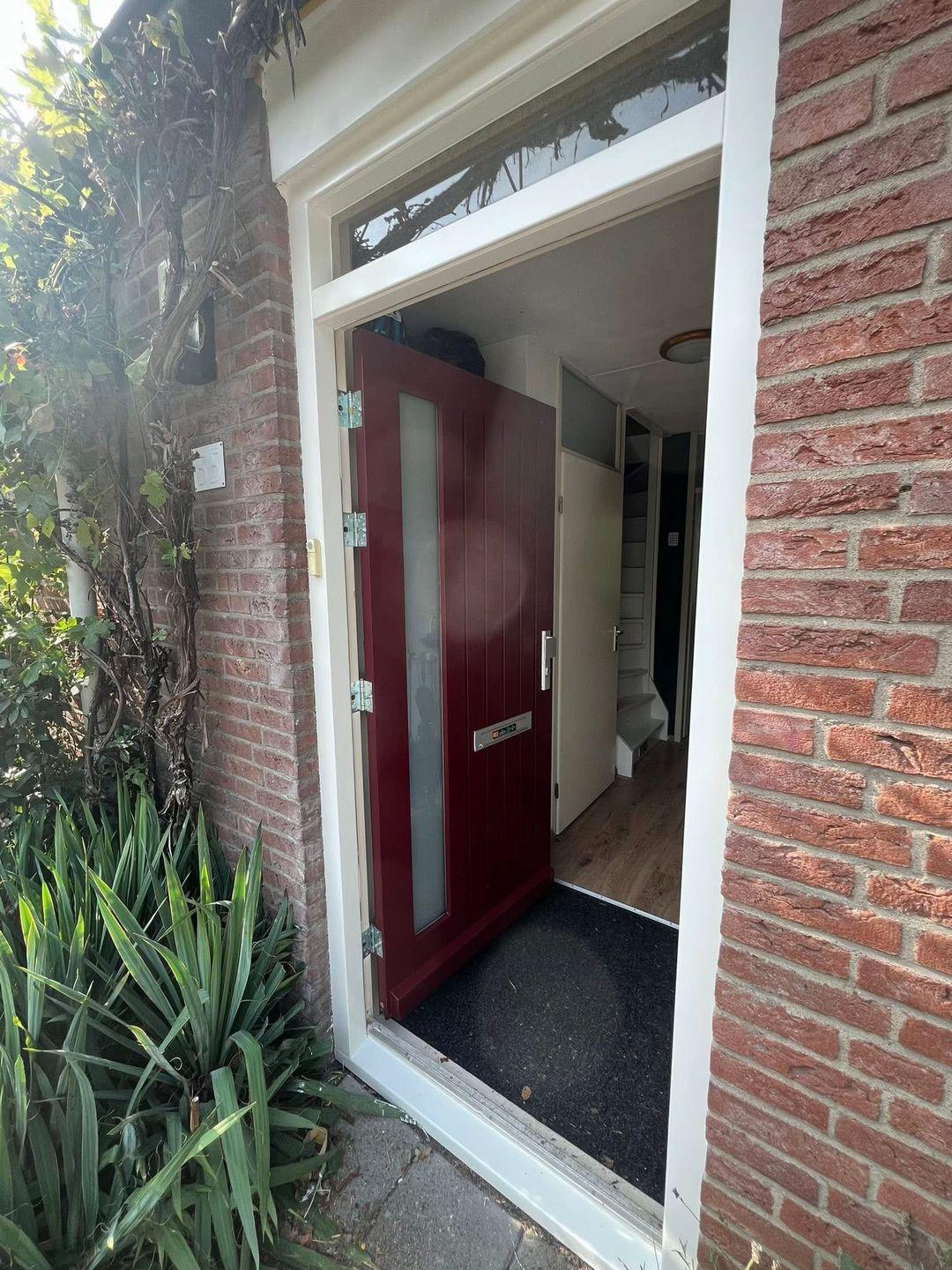 Geschilderde voordeur met bordeauxrood paneel in Delft