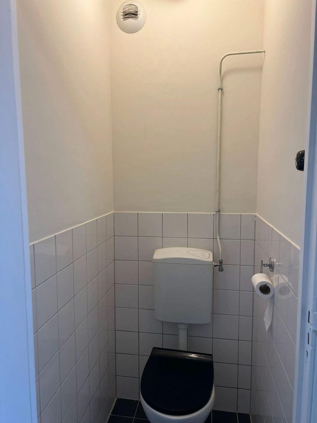 Toilet met strak geschilderde wanden