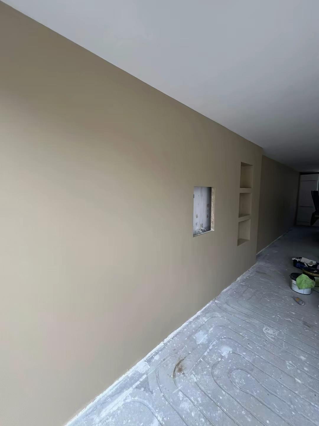 Woonkamer met geschilderde wand met nissen in Zoetermeer